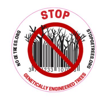 stop genetically engineered trees logo